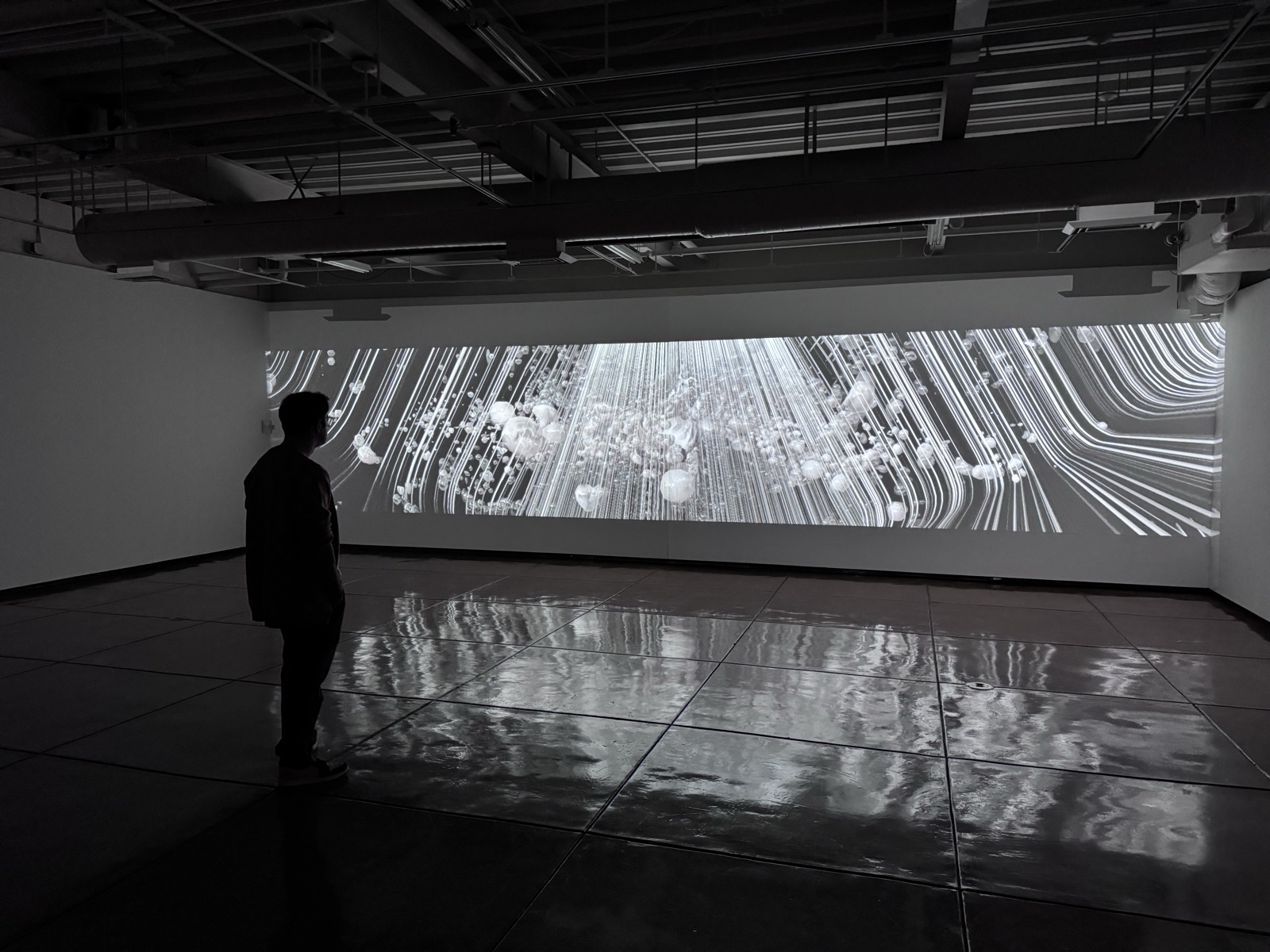 Wide panoramic projection in a gallery, Reno 2024