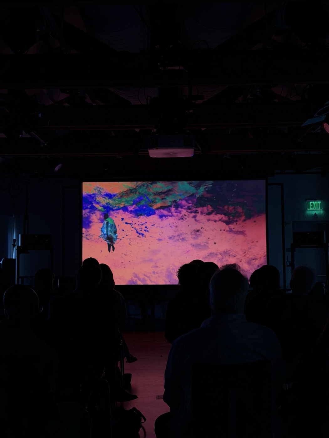 Audience watching the projection in a darkened hall